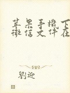 苹果手机下载的微信文件在哪打开