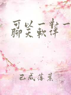 可以一对一视频聊天软件