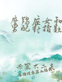 摩羯座女和双子男配对指数