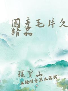 国产毛片久久久精品