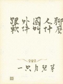 跟外国人聊天的软件叫什么