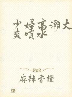 少妇高潮大叫好爽喷水