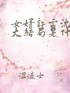 女婿许雷沈美茹大结局是什么