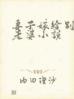 妻子嫁给别人当老婆小说