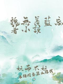 魏无羡蓝忘机原著小说