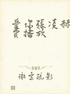 爱你张凌赫全免费播放