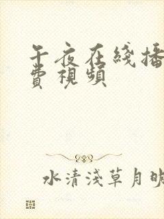 午夜在线播放免费视频