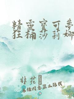 精灵宝可梦小智狂桶莎莉娜