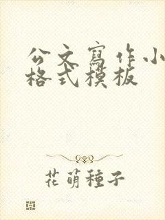 公文写作小标题格式模板