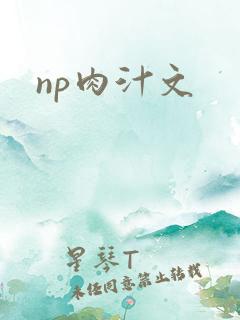 np肉汁文