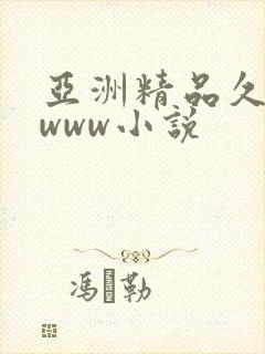 亚洲精品久久久www小说