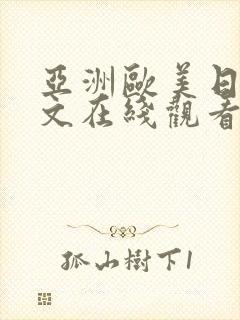 亚洲欧美日韩中文在线观看