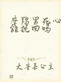 摩羯男死心了还能挽回吗