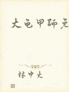 大龟甲师免费看