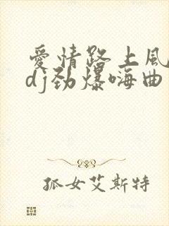 爱情路上风雨多dj劲爆嗨曲
