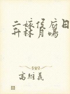 二嫁侯府日常江升林月鸣