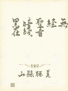 黑暗圣经无修版在线看