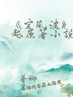 《定风波》王星越原著小说