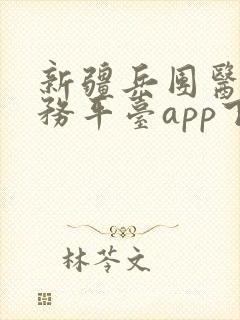 新疆兵团医保服务平台app下载