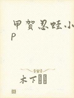 甲贺忍蛙小智cp