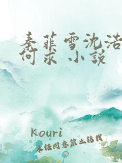 秦菲雪沈浩一生何求 小说