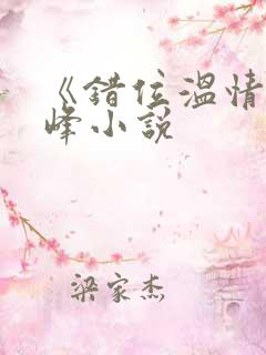 《错位温情》林峰小说