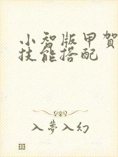 小智版甲贺忍蛙技能搭配