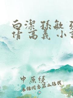 白洁 孙敏 张倩 高义 小说