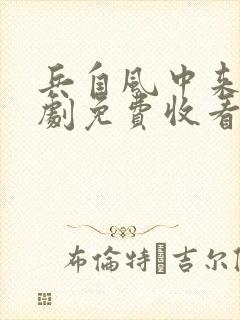 兵自风中来电视剧免费收看