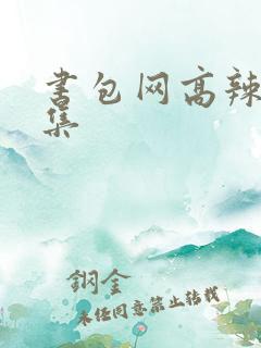 书包网高辣文合集