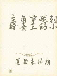 主角穿越到秦国给秦王的小说