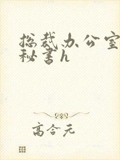 总裁办公室调教秘书h