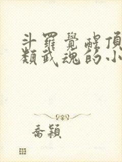 斗罗觉醒顶级剑类武魂的小说