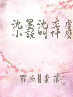 沈墨沈奕虞念念小说叫什么名字