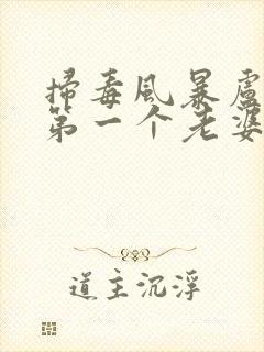 扫毒风暴卢少华第一个老婆结局