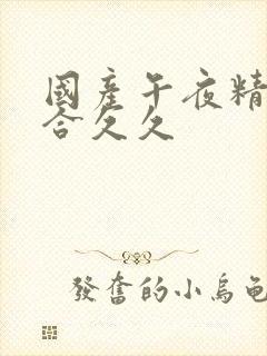 国产午夜精品综合久久