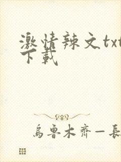 激情辣文txt下载