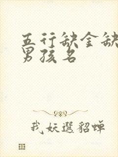 五行缺金缺水的男孩名