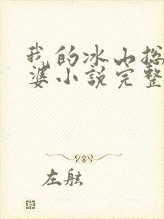 我的冰山总裁老婆小说完整版