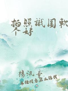 拍照识图软件哪个好