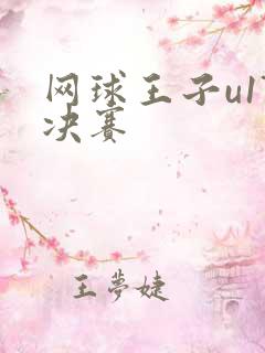 网球王子u17决赛