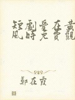 短剧爱在黄昏晚风时免费观看