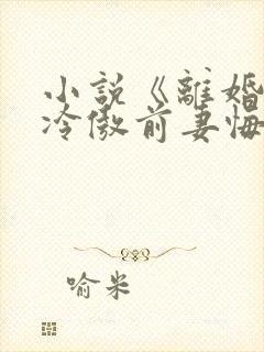 小说《离婚后,冷傲前妻悔恨终身》