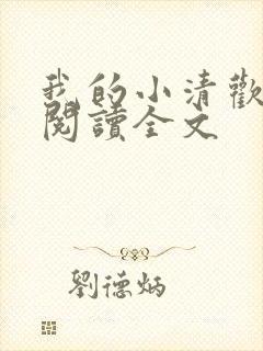 我的小清欢小说阅读全文