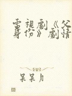 电视剧《父亲的身份》剧情介绍