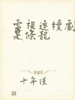 电视连续剧爸爸是条龙