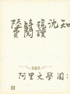 陆时砚沈知意免费阅读