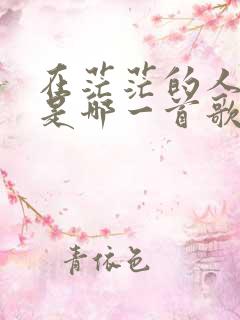 在茫茫的人海里是哪一首歌的歌词