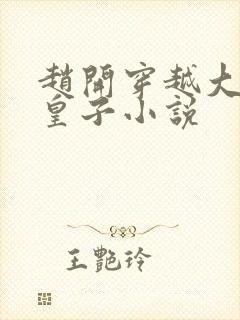 赵开穿越大梁七皇子小说