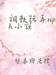 调教玩弄np高h小说